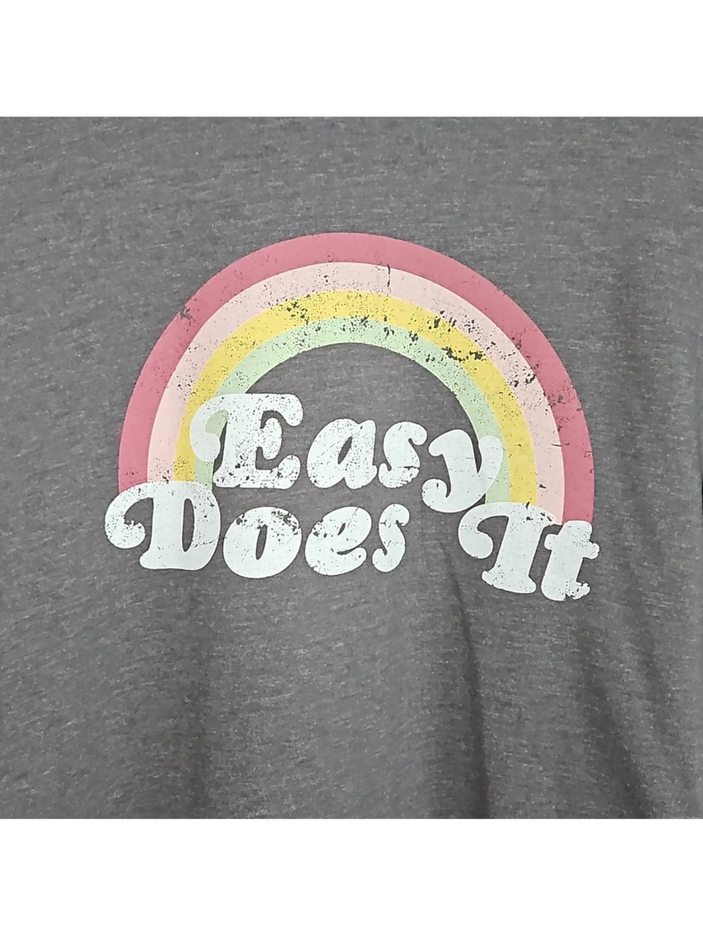 WILDFOX • “Easy Does It” Charcoal Graphic Sweatshirt - 'Easy Does It' - Picture 4 of 10